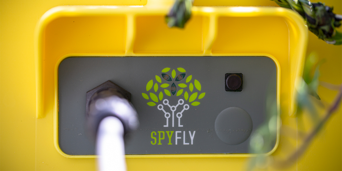 Nasce SpyFly, la nuova smart trap di Netsens by Agrobotica